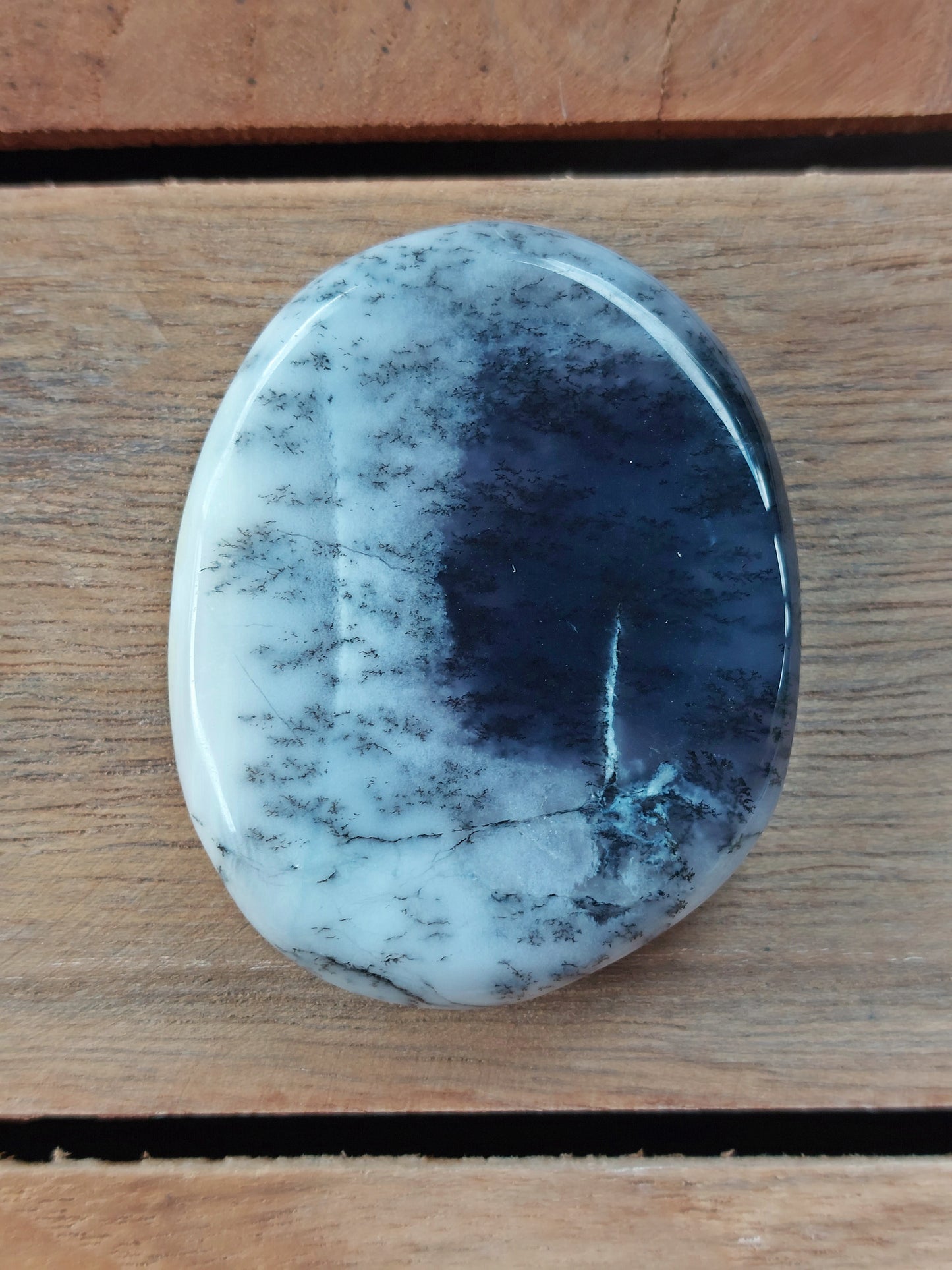 Galet plat Agate Dendritique