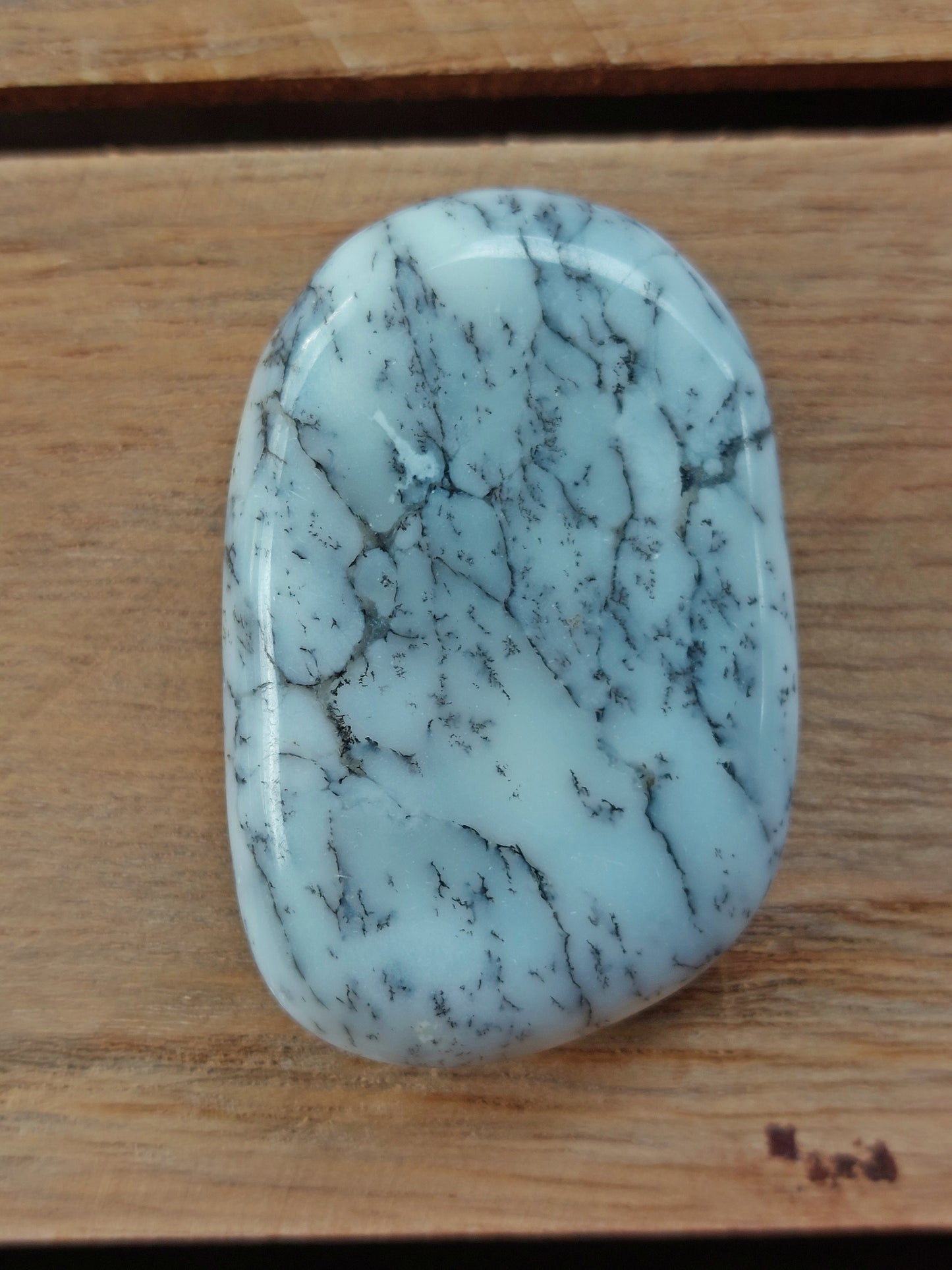 Galet plat Agate Dendritique