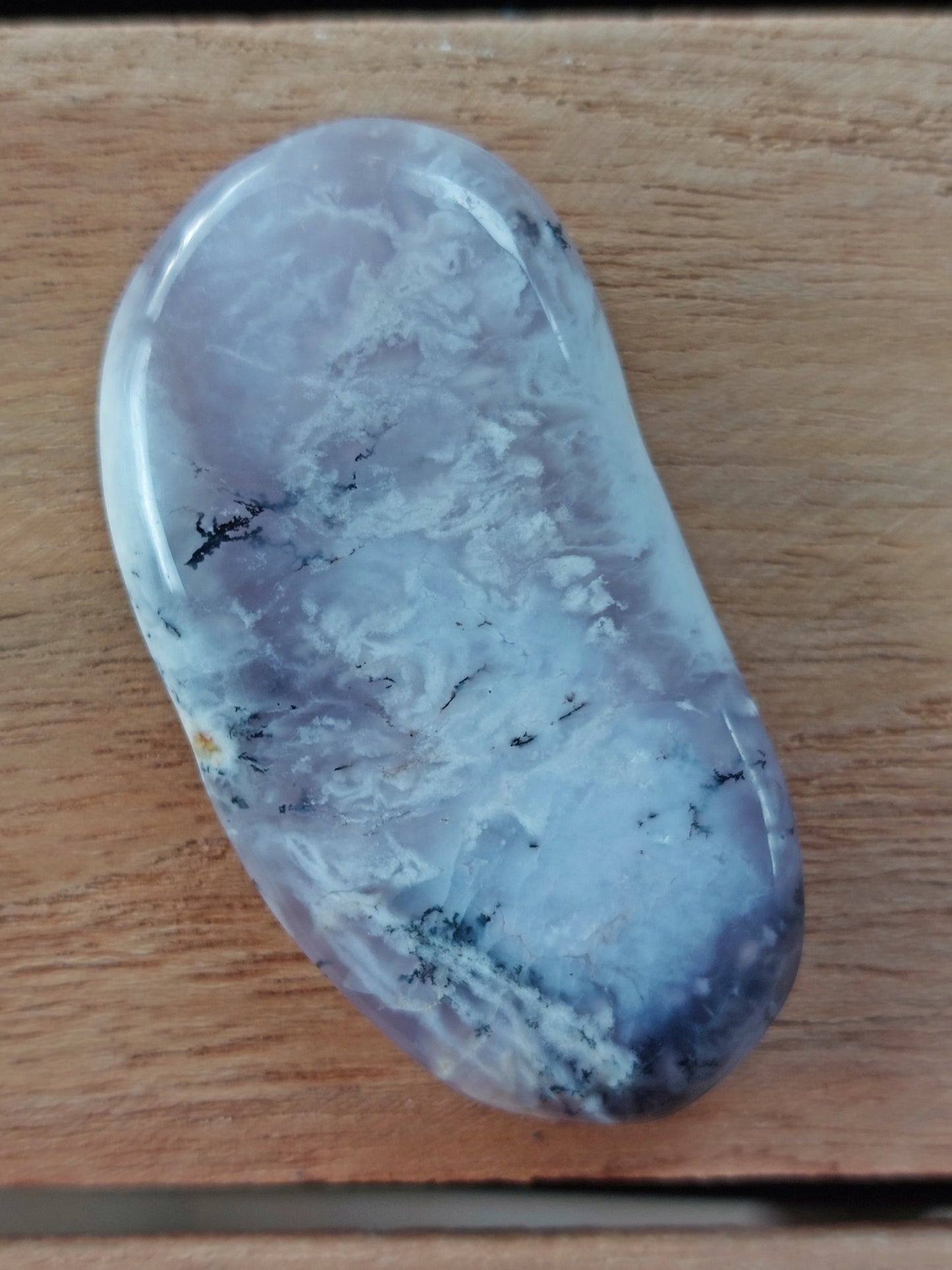 Galet plat Agate Dendritique