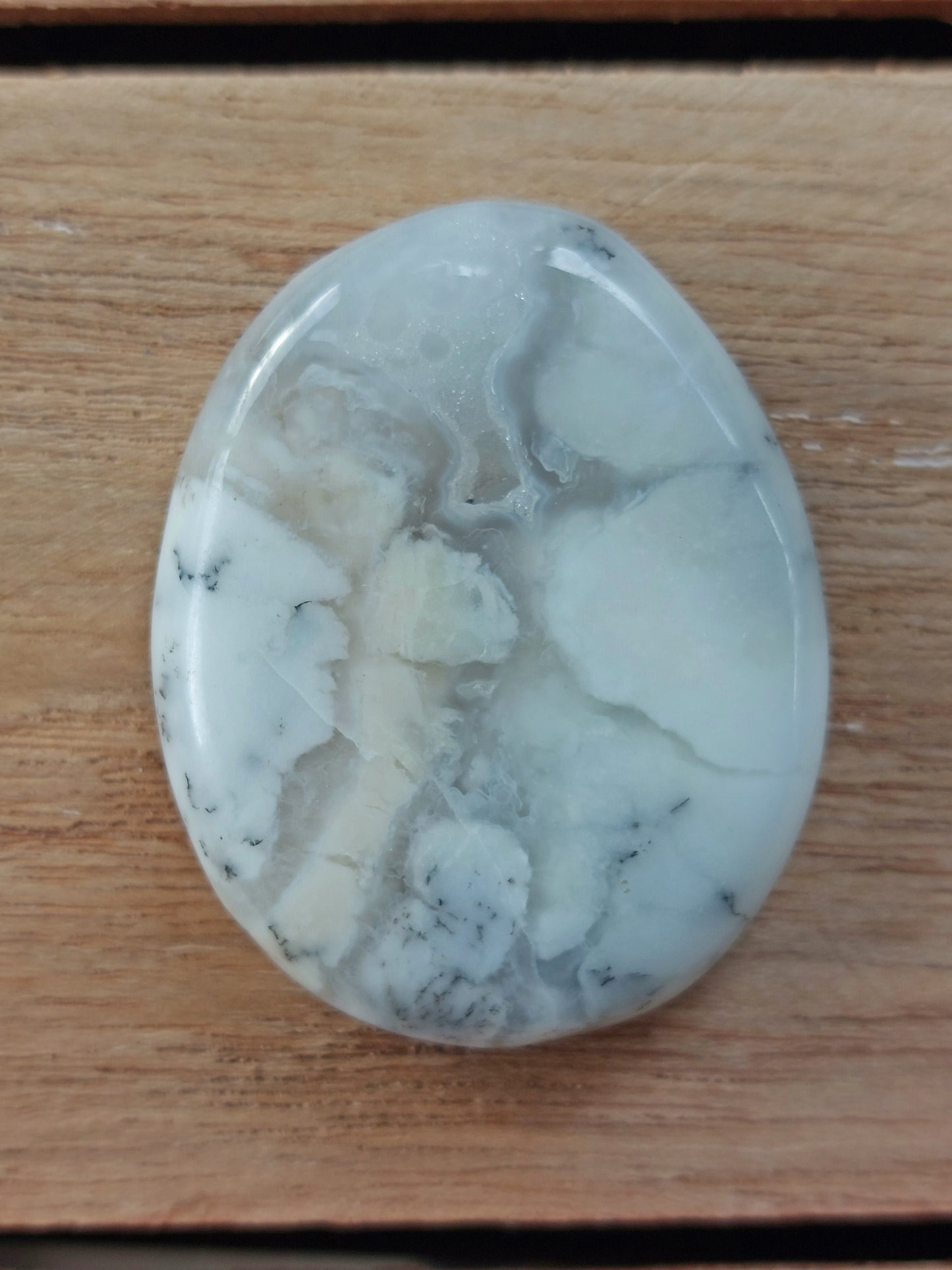 Galet plat Agate Dendritique