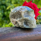 Crâne Agate Arbre