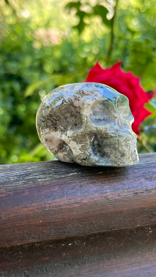 Crâne Agate Arbre