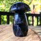 Champignon Gabbro