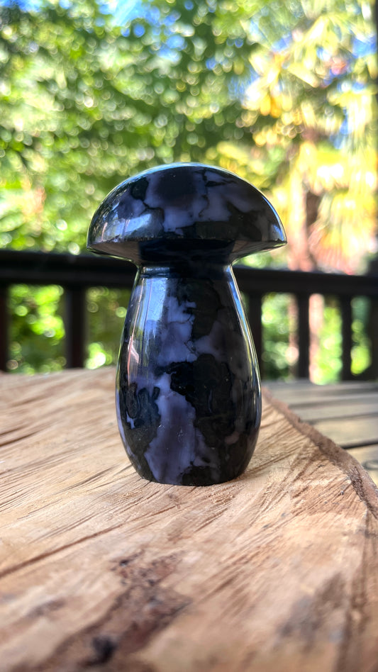 Champignon Gabbro