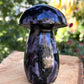 Champignon Gabbro
