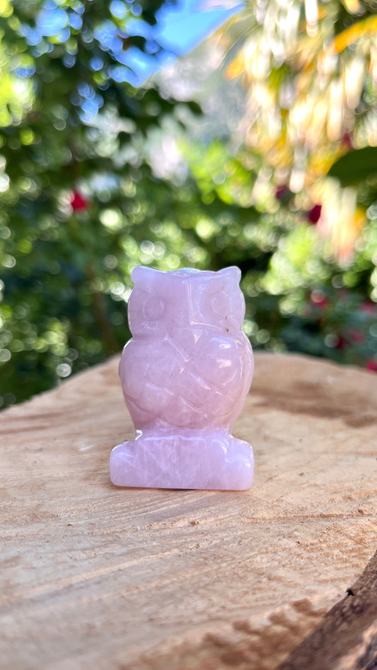Chouette Quartz rose