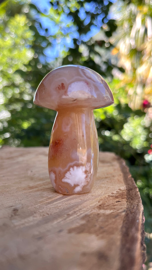 Champignon Agate Fleur