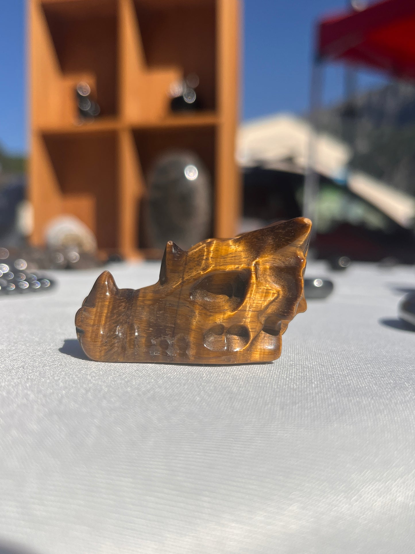 Tête de dragon œil de tigre