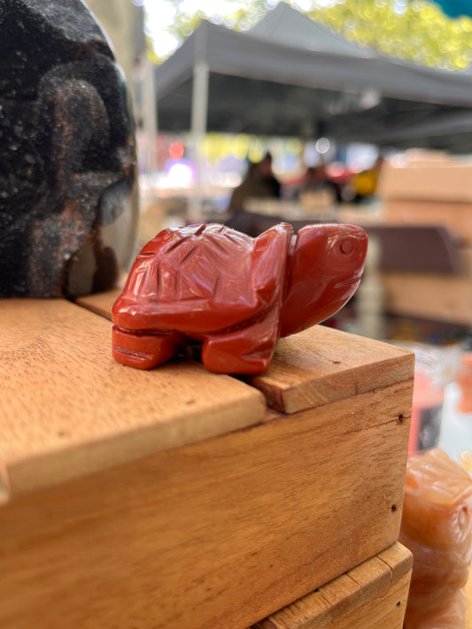 Tortue Jaspe rouge