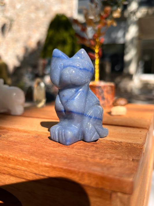 Chat Aventurine bleue