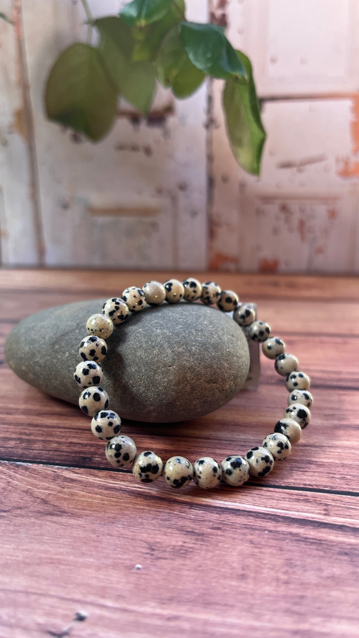 Bracelet Jaspe Dalmatien