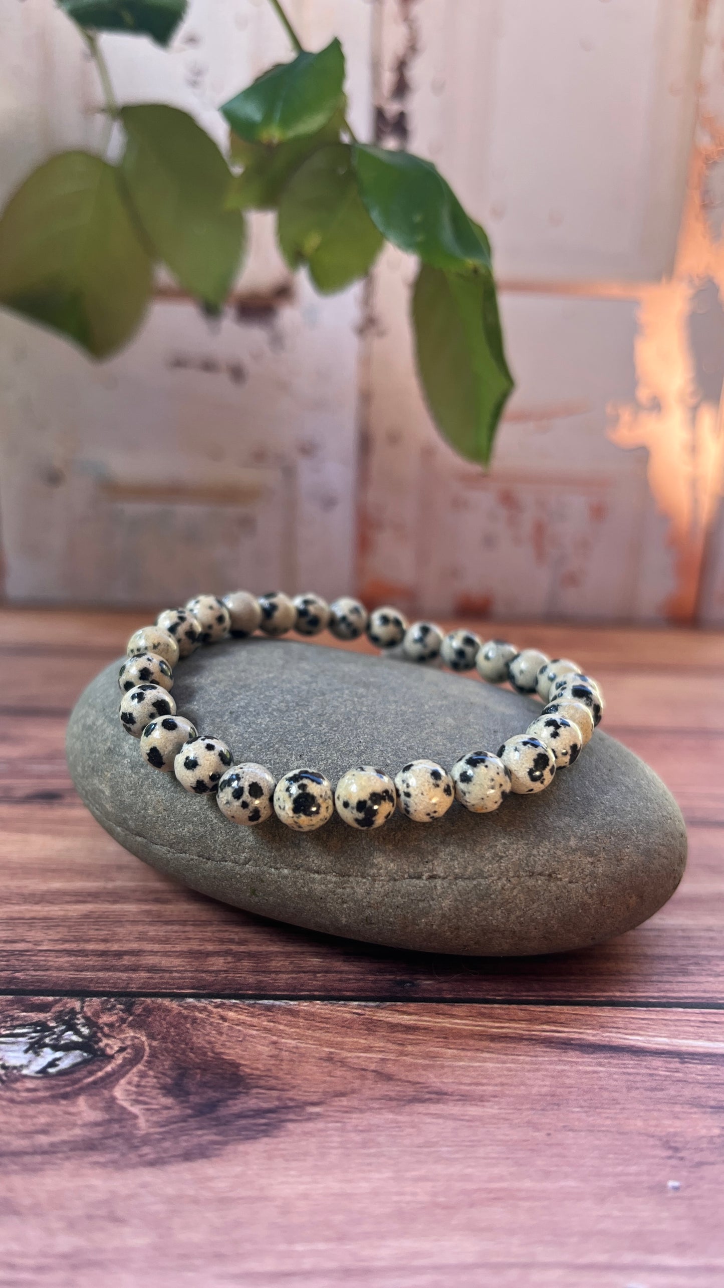 Bracelet Jaspe Dalmatien