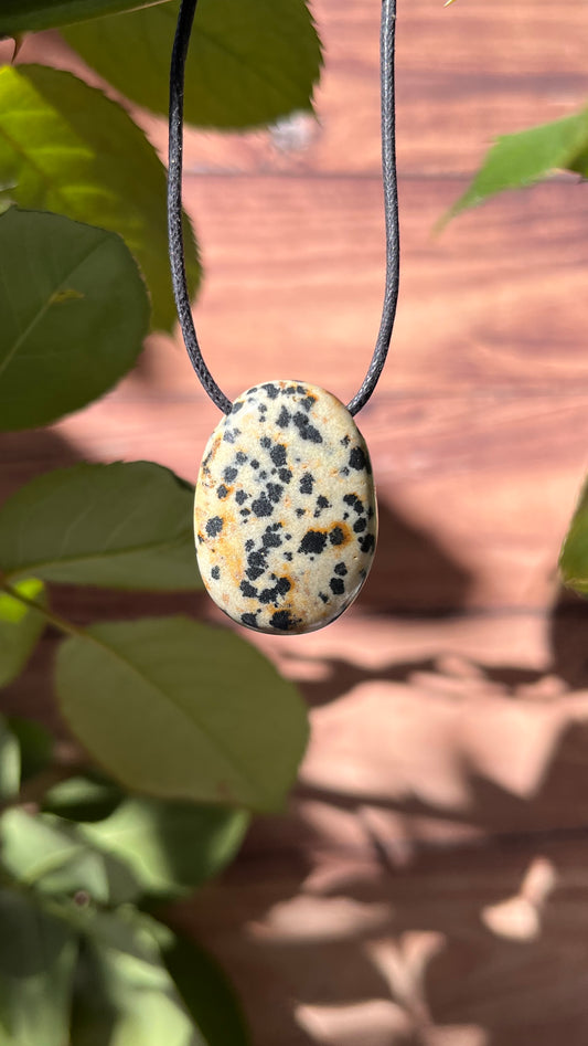 Jaspe Dalmatien : Harmonie et Sagesse