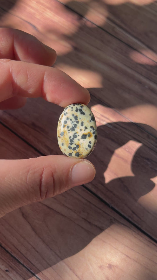 Jaspe Dalmatien : Harmonie et Sagesse