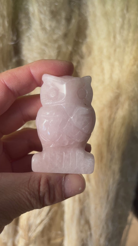 Chouette Quartz rose