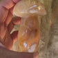 Champignon Agate Fleur