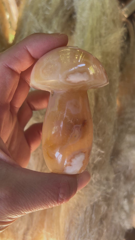 Champignon Agate Fleur