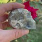 Crâne Agate Arbre
