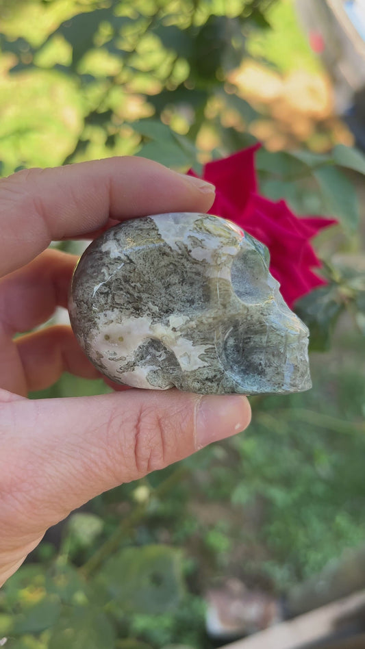 Crâne Agate Arbre