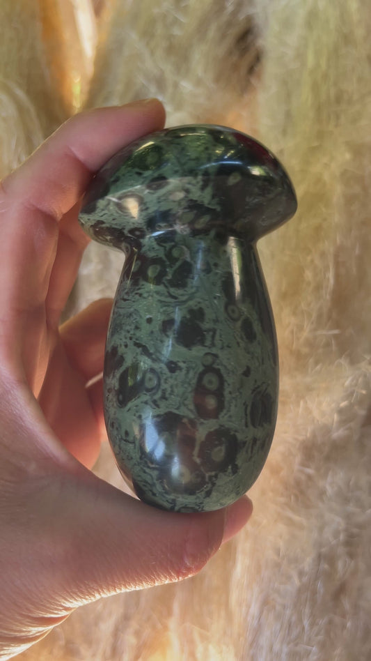 Champignon Jaspe Kambaba