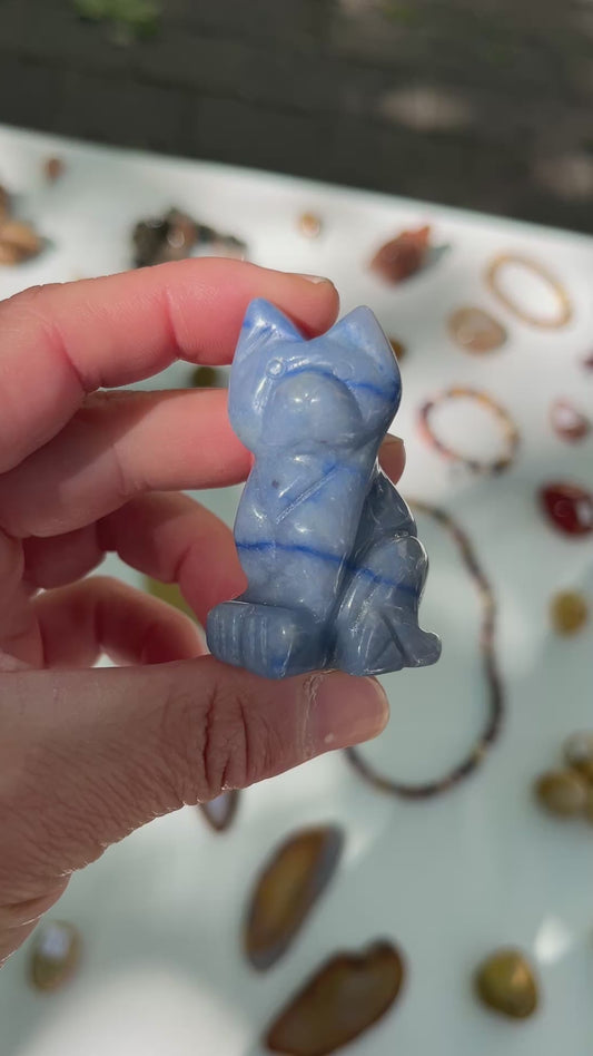 Chat Aventurine bleue