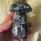 Champignon Gabbro