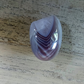Agate Botswana