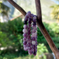 Lépidolite